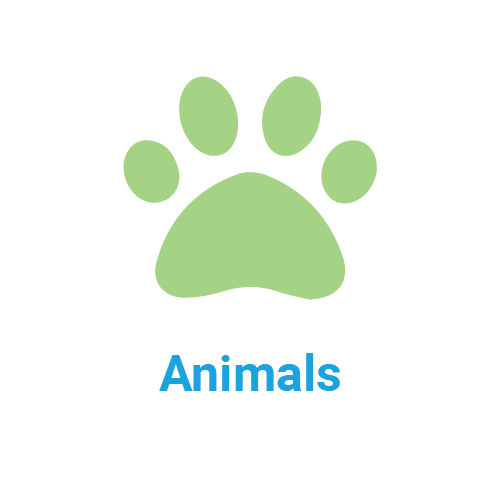 animals icon and title